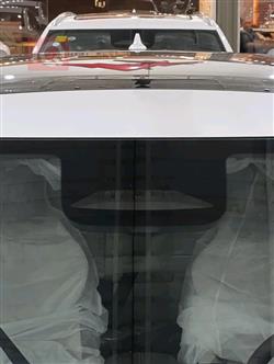 بي واي دي سونغ L DM-i